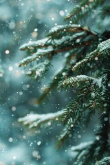 A close-up view of a pine tree covered in snow, suitable for winter or nature-themed projects