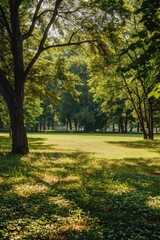 Fototapeta premium A serene natural landscape with lush greenery and tree silhouettes