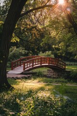 Fototapeta premium A wooden bridge spanning a peaceful stream in a lush green park