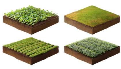 Set of 3d piece of land with soybean plantation on transparency background PNG