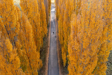 Naklejka premium Aerial view, Autumn Colours, Australia