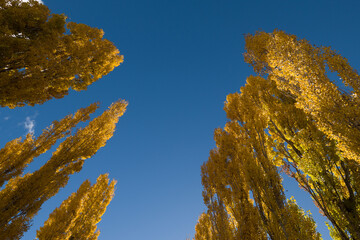 New England Autumn Colours