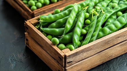 Fresh green peas in wooden crates on a dark background. Organic farm produce ready for cooking or snacking.