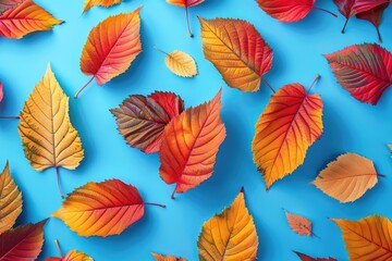 A bunch of colorful leaves scattered on a blue surface, great for design and illustration