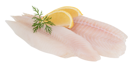 Fresh sea bass fillet cut out isolated transparent background