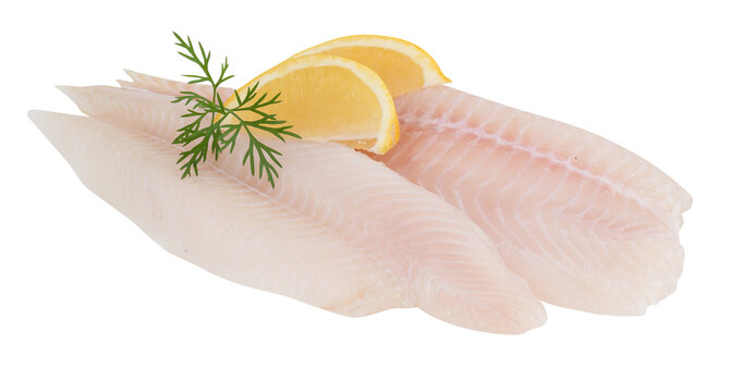 Fresh sea bass fillet cut out isolated transparent background