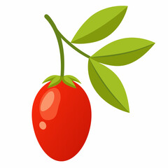 Goji berry cartoon isolated on white, goji berry vector illustration, fruti vector art, red Goji berry silhouette, food icon, goji berrys line art, eps
