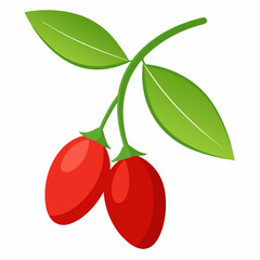 Goji berry cartoon isolated on white, goji berry vector illustration, fruti vector art, red Goji berry silhouette, food icon, goji berrys line art, eps