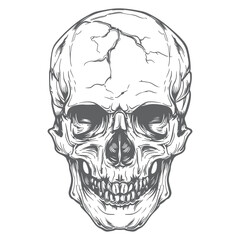 Obraz premium Monochrome Skull Illustration, Timeless Vintage Design