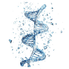 human dna structure with water helix  isolated on transparent background.png
