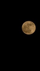 Full supermoon in the sky background. Port Antonio, Jamaica