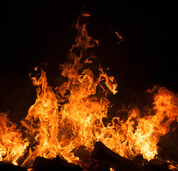 Fototapeta premium fire at night