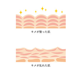 図版_肌図版_001_整った肌と乱れた肌