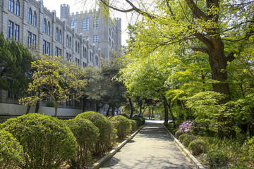 Hoegi-dong, Dongdaemun-gu, Seoul, South Korea - April 17, 2022: Spring view of trail with trees on garden along main building of Kyunghee University