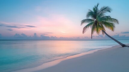 Obraz premium A serene beach at sunset with a leaning palm tree and calm waters.