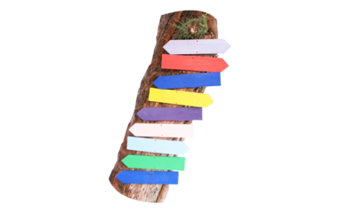 Multicolored empty wooden sign is blank same pattern clinging to tree isolated on cut out PNG or transparent background. Blank signs to write messages or various symbol. Variety of beautiful colors.