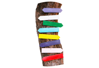 Multicolored empty wooden sign is blank same pattern clinging to tree isolated on cut out PNG or transparent background. Blank signs to write messages or various symbol. Variety of beautiful colors.