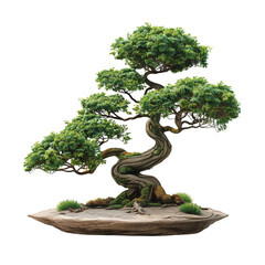 3D vector icon of Isometric bonsai on a white background, with no shadows or gradients and a flat design, 2D illustration in the style of simple shapes and colorful vector graphics.