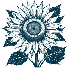 Aesthetic Beautiful Sunflower Flower and Leaves Graphic Silhouette Vector Files