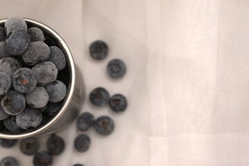 fruit, blueberry, food, berry, fresh, blueberries, healthy, bowl, blue, sweet, berries, white, ripe, dessert, isolated, black, organic, diet, juicy, spice, freshness, snack, nutrition, delicious, juni