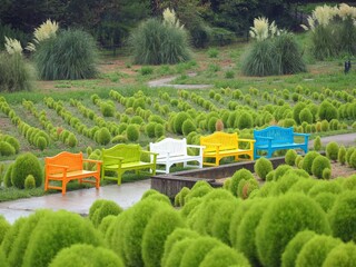 国営讃岐まんのう公園2024年8月【香川県仲多度郡まんのう町】9