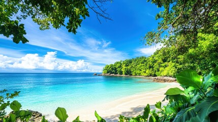 A serene beach scene with clear turquoise waters and lush greenery under a bright sky.