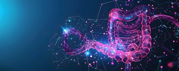 Abstract Representation of the Human Intestine with a Network of Connections