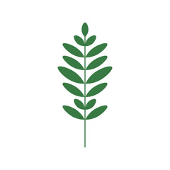 Tropical Leaves