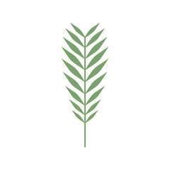 Fototapeta premium Tropical Leaves