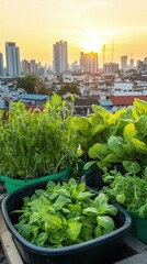 Urban rooftop garden, with herbs and vegetables, surrounded by cityscape, bright overhead light