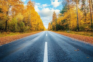 Fototapeta premium A scenic autumn road lined with vibrant orange and yellow trees under a blue sky, creating a picturesque nature view.