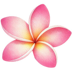 Bright watercolor painting of a pink plumeria flower with yellow accents, showcasing delicate petals and vibrant colors.