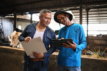 Two Asian Farmers Standing In Front Of Cows In Cowshed, Looking At laptop And Discussing