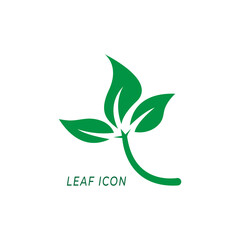 vector illustration icon of leaf, vector flat illustration, design vector, vector icon