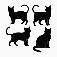 Exotic shorthair cat silhouette vector template illustration