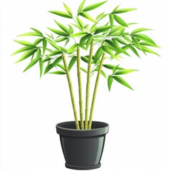 Obraz premium Vector Graphic of a Potted Bamboo Plant