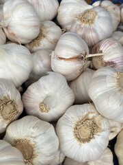 flower,red,green,leaf,pink