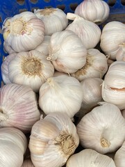 flower,red,green,leaf,pink