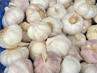 flower,red,green,leaf,pink