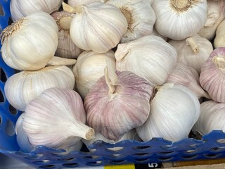 flower,red,green,leaf,pink