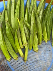 flower,red,green,leaf,pink
