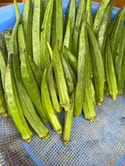 flower,red,green,leaf,pink