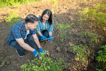 A man and a woman are kneeling down in a field, looking at chili plants