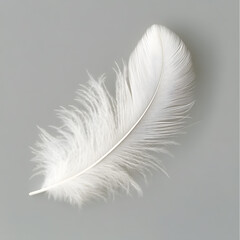 White fluffy feather isolated on light grey background	