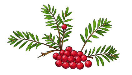 a branch with red berries
