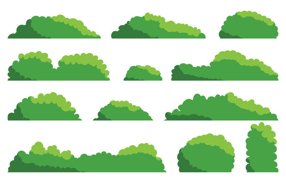 Green bushes. Set of grass bush isolated on white background. Green grass collection. Bush with beautiful. Flat vector illustration.