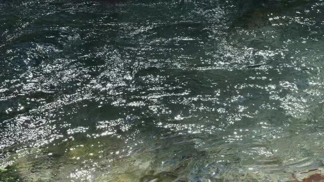 fast river with dark water, a large salmon jumps high out of water against the background of a shore covered with gray stones