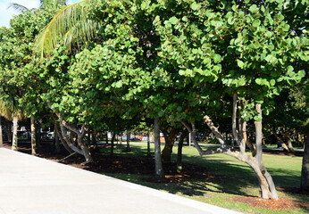 Park in Miami South Beach, Florida