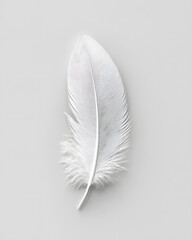 White fluffy feather isolated on light grey background	