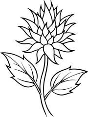 Eryngium flower line art